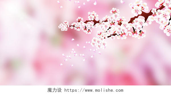 粉色唯美花和简约虚化背景展板背景立春春天
